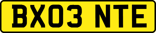 BX03NTE
