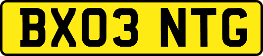 BX03NTG