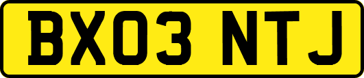 BX03NTJ