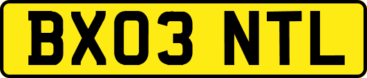 BX03NTL