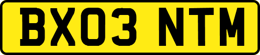 BX03NTM