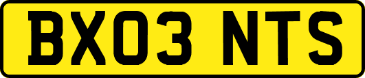 BX03NTS