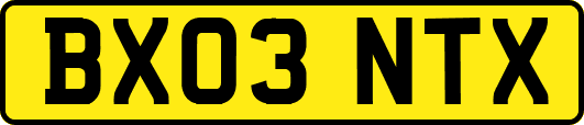 BX03NTX