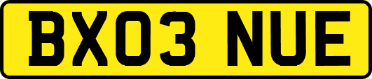 BX03NUE