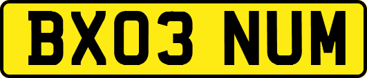 BX03NUM