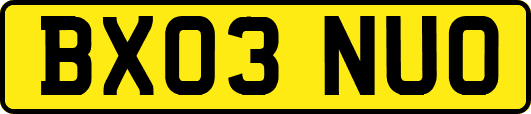 BX03NUO
