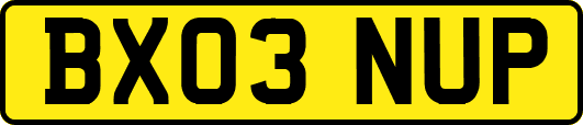 BX03NUP
