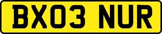 BX03NUR