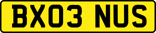 BX03NUS