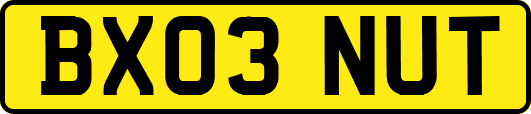 BX03NUT
