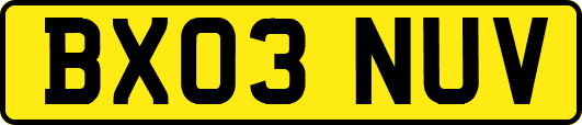 BX03NUV