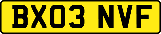BX03NVF