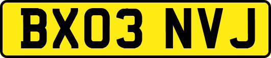 BX03NVJ