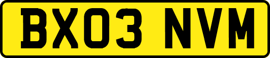 BX03NVM
