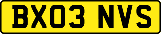 BX03NVS