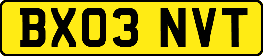 BX03NVT