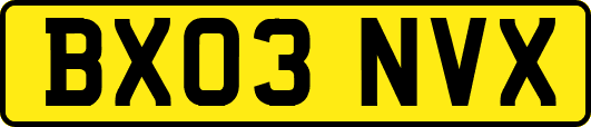 BX03NVX