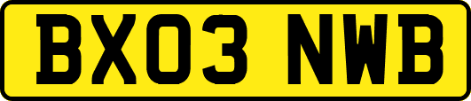 BX03NWB