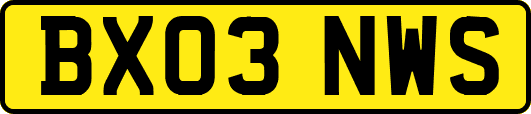 BX03NWS