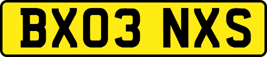 BX03NXS