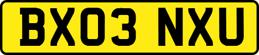 BX03NXU