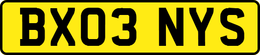 BX03NYS