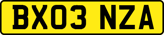 BX03NZA