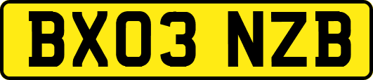 BX03NZB
