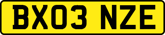BX03NZE