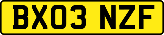 BX03NZF