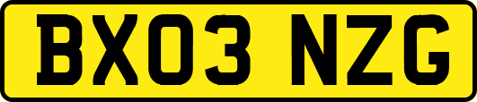 BX03NZG