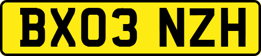 BX03NZH