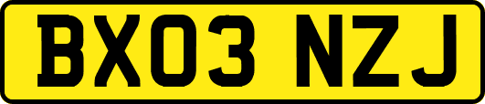 BX03NZJ