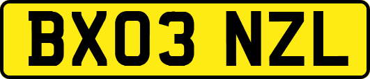 BX03NZL