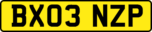 BX03NZP