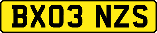 BX03NZS