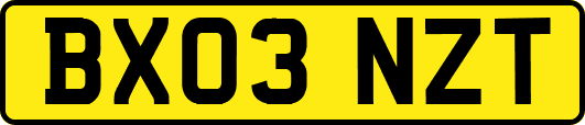 BX03NZT