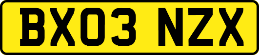 BX03NZX