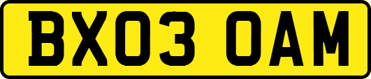 BX03OAM