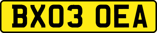 BX03OEA