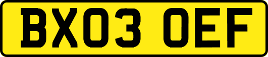 BX03OEF
