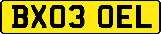 BX03OEL