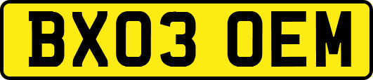 BX03OEM