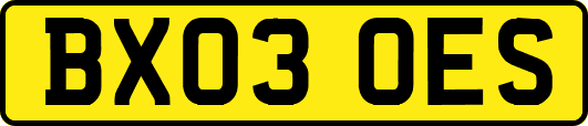 BX03OES