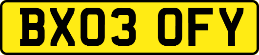 BX03OFY
