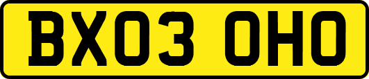 BX03OHO