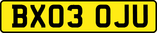 BX03OJU