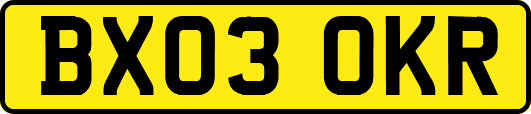 BX03OKR
