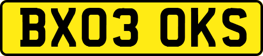 BX03OKS