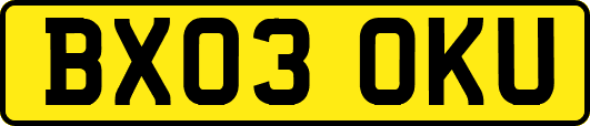 BX03OKU